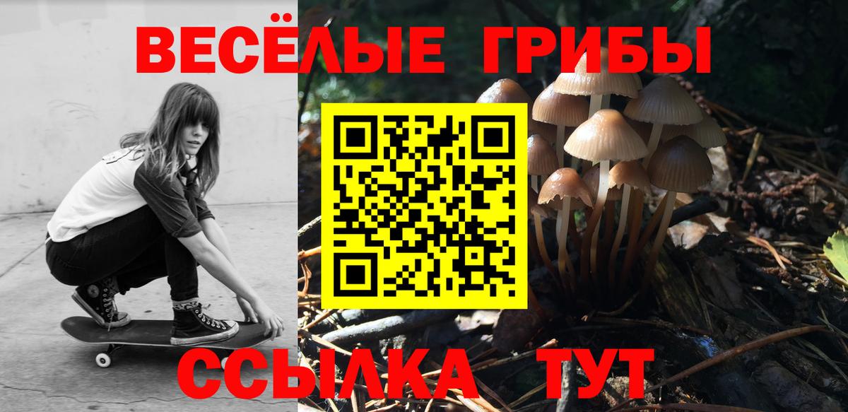 Галлюциногенные грибы MAGIC MUSHROOMS  цена   Вход с VPN  Кумертау  Галлюциногенные грибы MAGIC MUSHROOMS 